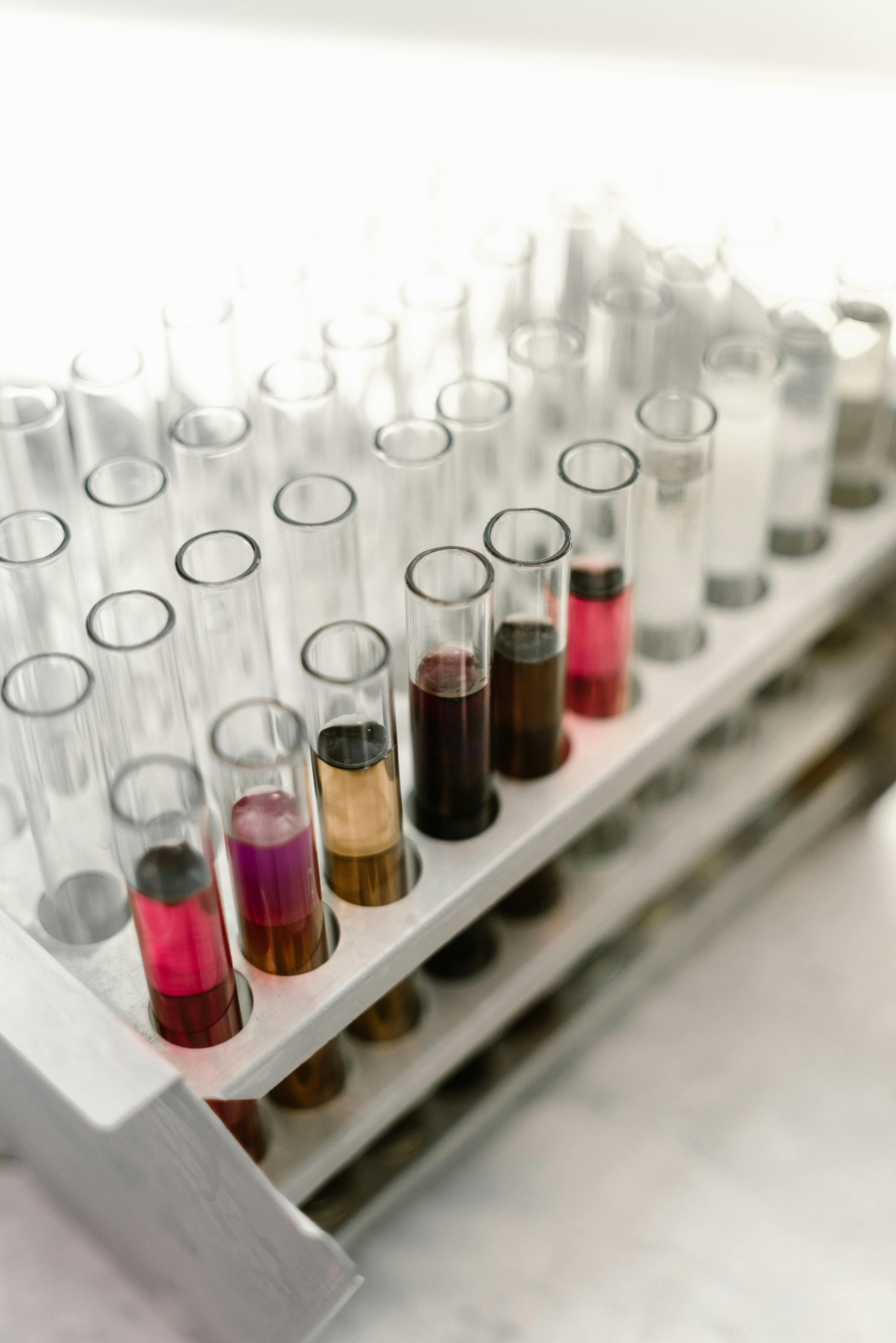 New obesity discovery rewrites decades of fat science